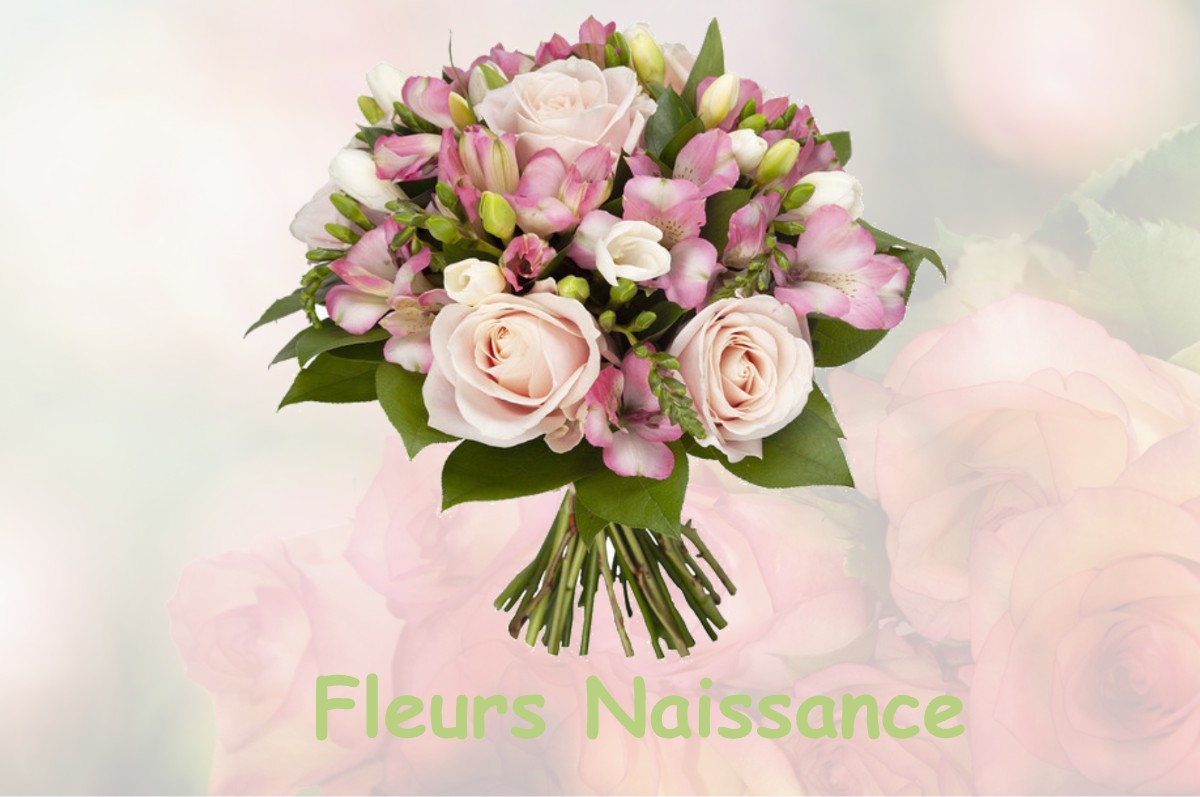 fleurs naissance FRANCHELEINS